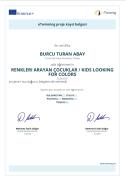 Renkleri Arayan Çocuklar eTwinning Projesi
