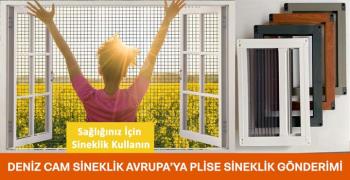 Yurt Dışına Sineklik Satışı
