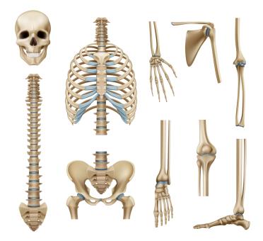 Vizyonmed Sağlık Ürünleri