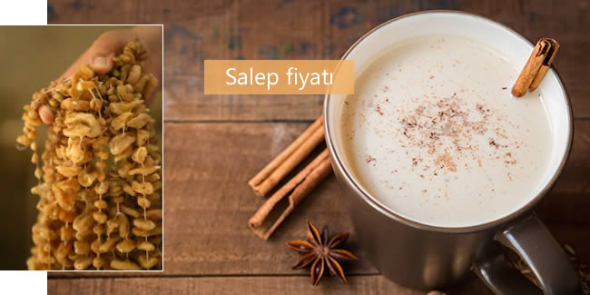 Salep fiyatı